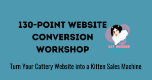 130-Point Website Conversion Workshop